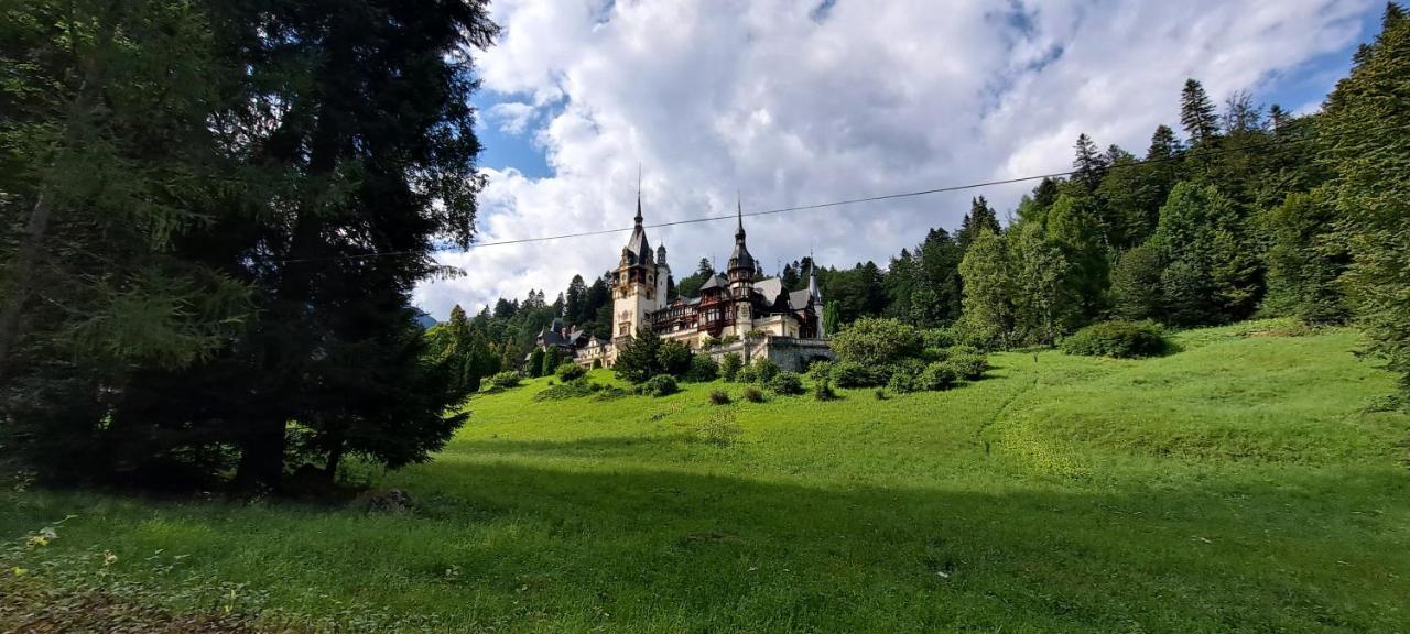 Sinaia Relax Residence מראה חיצוני תמונה