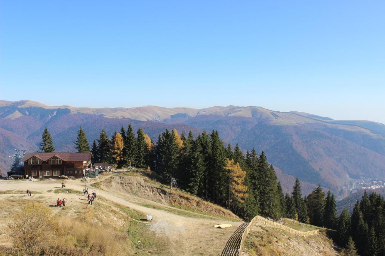 Sinaia Relax Residence מראה חיצוני תמונה